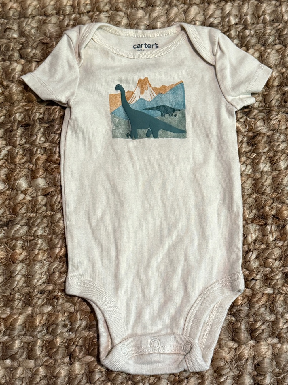 Bundle of Onesies (One-Piece Snap Bottom) — Assorted, 6 Pieces - Picture 4 of 14
